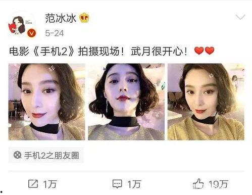 娱乐圈吃瓜白鹿是谁,娱乐圈新晋吃瓜达人，揭秘明星幕后故事